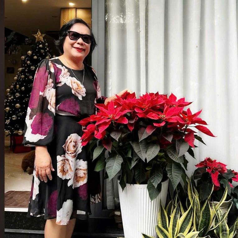 Nhà Đẹp Việt chi-loan